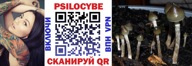 Купить где  Волоколамск  Галлюциногенные грибы GOLDEN TEACHER 