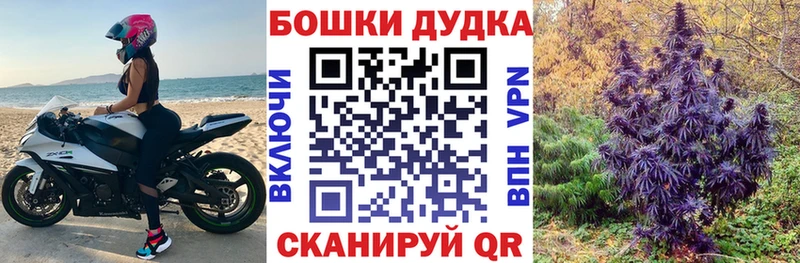 Шишки марихуана сатива  Купить закладки  Волоколамск 